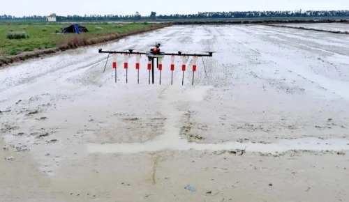 无人机“闹”春耕，珠海羽人无人机助推广西钦州粮食生产再升级