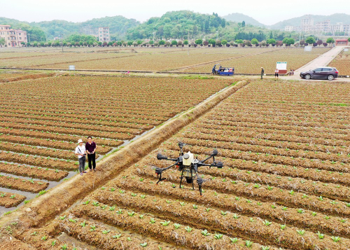 嘉禾：无人机田间起飞助农生产