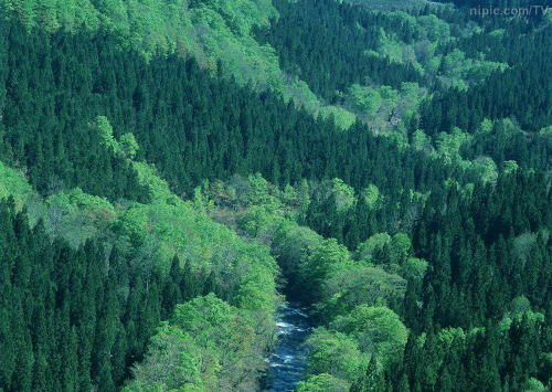 御火而行勇往直前！长航时无人机为森林防火灭火保驾护航