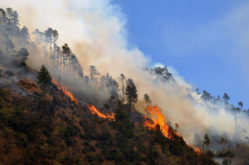 普宙无人机×百度飞桨，助力全国多地春季森林智能化巡检