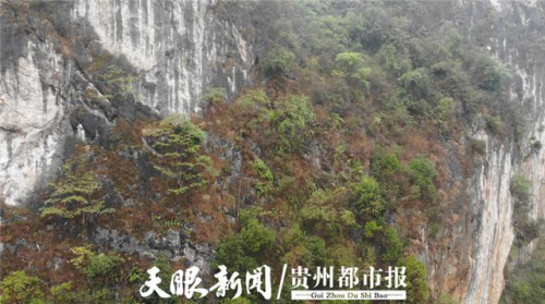 男子迷路被困山崖，消防员用无人机成功定位