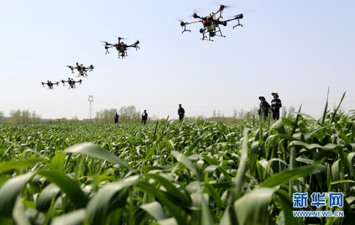 【“飞阅”中国】无人机大显身手助力春耕