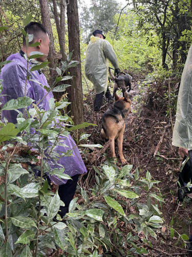 长沙警方出动警犬和无人机搜山，只是为了……
