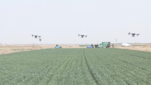 齐家务镇：无人机“飞防”助力春耕生产