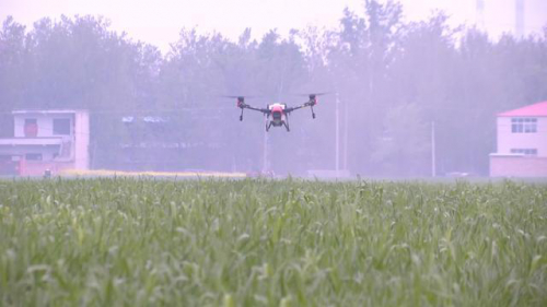 安阳滑县：抢抓农时促生产 智慧化装备助“春管”