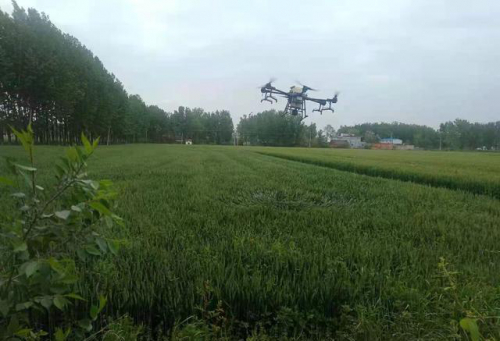 桐柏县平氏镇：麦田里飞来无人机