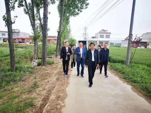 桐柏县平氏镇：麦田里飞来无人机