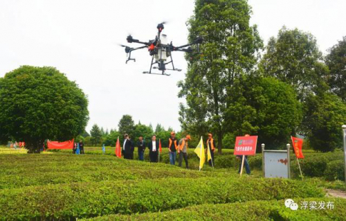 江西浮梁县茶园首次用无人机进行喷洒作业，为茶园打上“绿色”标签