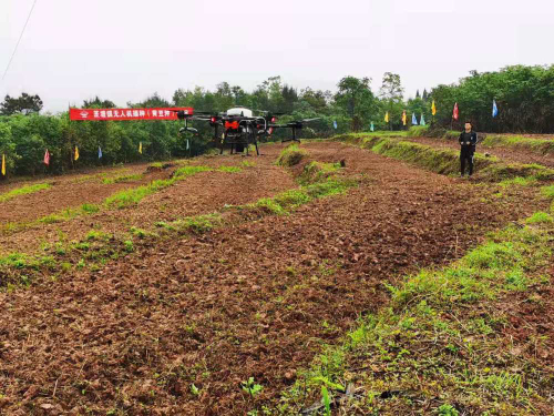 重庆綦江：无人机助力春耕 10小时播种大豆百亩