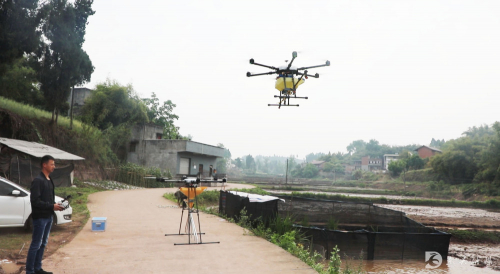 厉害！内江这里无人机飞播现场，5分钟搞定1亩田