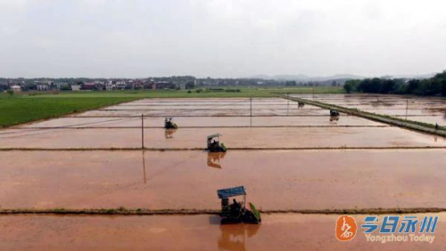 无人机、自动驾驶齐上阵 祁阳春耕有点“潮”