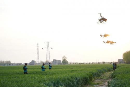 国家一线高标准农田，如何进行小麦统防统治