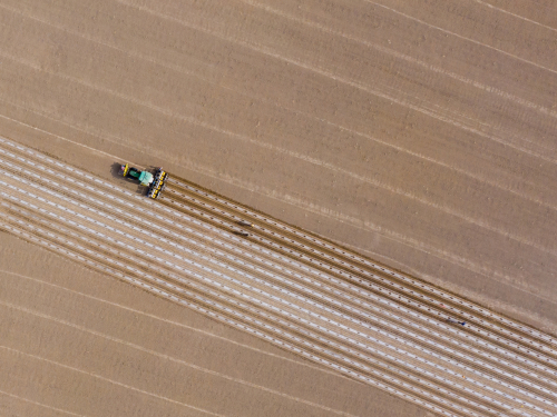 2个90后管3000亩地？新疆棉花种植用上无人机、AI