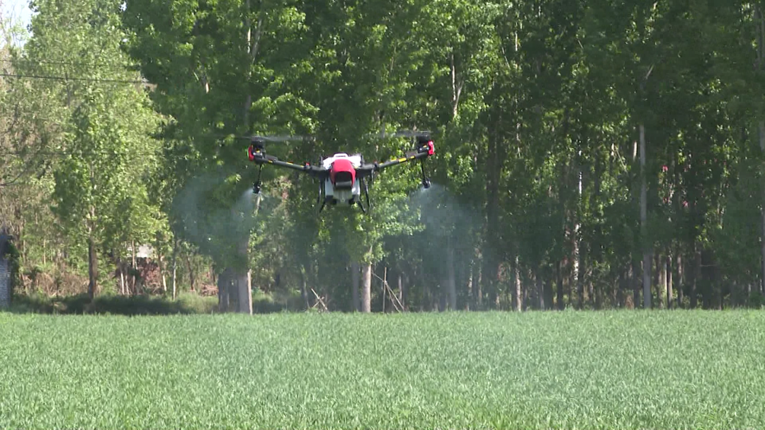 无人机上线！保障夏粮大丰收！