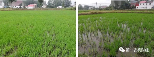 无人机播撒与传统飞播有什么不同？