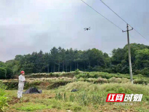 雷雨多发季节无人机巡视确保夏季电网可靠运行