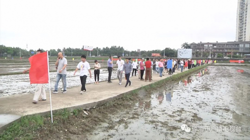 琼海市推广“无人机播种水稻” 撂荒地复耕促增收（视频）
