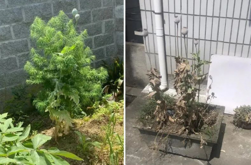 无人机拍下可疑位置！富阳对这种行为零容忍！