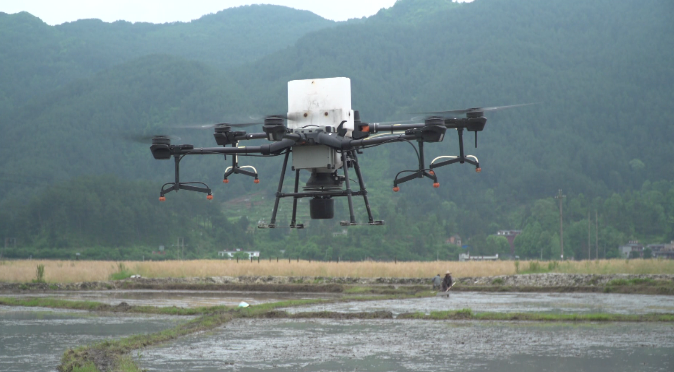 黔南贵定：“无人机＋丸粒化”引入广东水稻机械化种植新技术