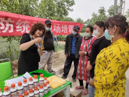 和田市无人机“上岗” 助力小麦蚜虫防治