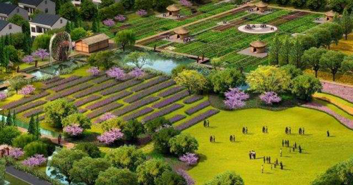 种地新模式触手可及！秀洲新塍无人机为智慧农业插上“翅膀” 