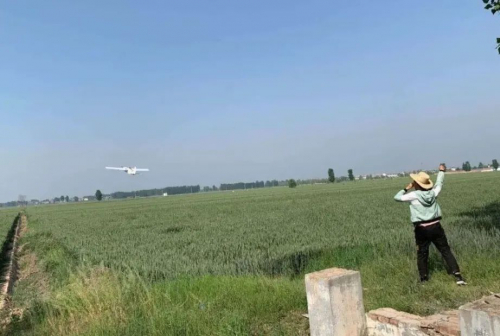 高阳公安"智慧禁毒":无人机航测 开展禁种铲毒