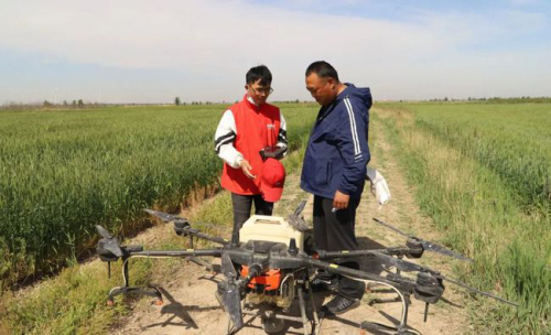 植保无人机“护航” 助力小麦丰产增收