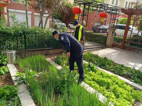卫星天上照，罂粟无处藏 寿光市圣城街道开展无人机航拍禁种铲毒工作