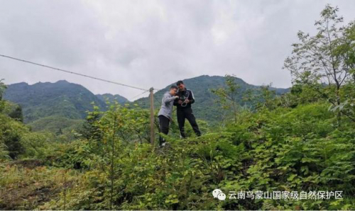 乌蒙山国家级自然保护区管护局小草坝监督管理站首次利用无人机高效排查非法侵占林地毁林种植行为