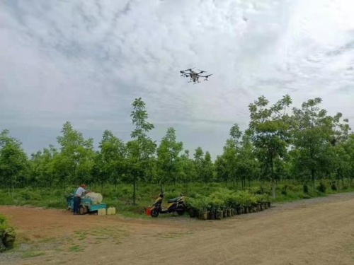 2021年科技活动周全椒在行动：无人机喷洒防治核桃病虫灾害 展现农业科技魅力