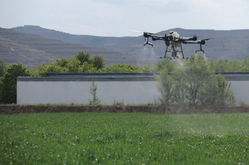通渭：无人机喷洒农药 高科技助力农业植保