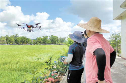 开展“地毯式” 病虫害统防统治作业 无人机飞防助力 农业生产降成本增效益
