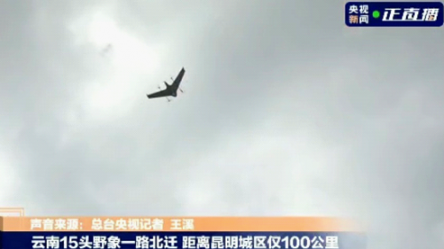 追踪云南野象群的远度科技灵隼无人机再升级