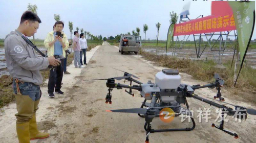真省力！无人机水稻直播，10分钟可播种10亩地！ 