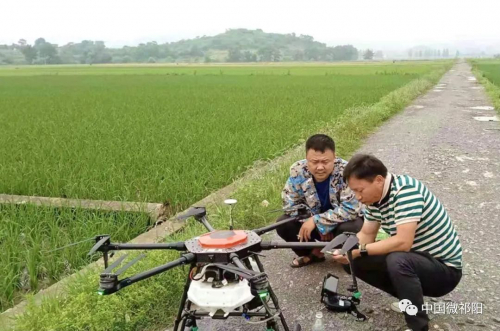 祁阳：无人机“上线” 打响“保卫战”