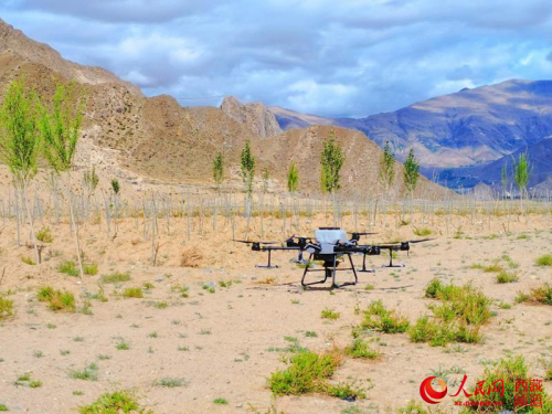 西藏首次使用无人机精准飞播造林种草