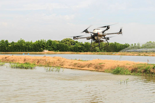 牛，虾塘喂料，迎来新模式！无人机再振新翅，每年省下五万余元!