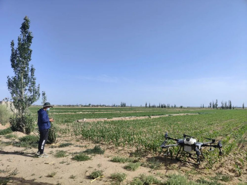 腾格里开发区呈现科技兴农好风景——无人机成农民“新宠”