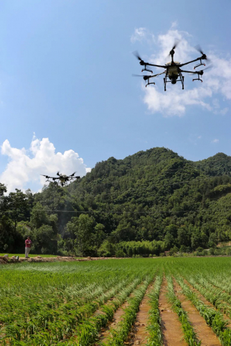 高大上！汉滨农民用无人机给水稻施肥