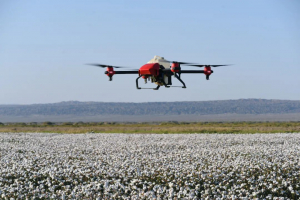 两个90后管理3000亩棉田的背后，无人化技术正在改变中国农业