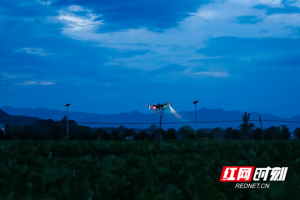 蓝山：无人机夜间飞防忙（图）