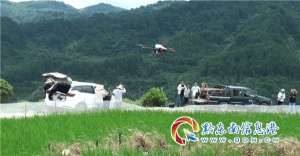 黔东南州市农业部门利用植保无人机开展水稻病虫害防治工作