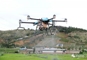 祥云：稻田上飞着无人机…