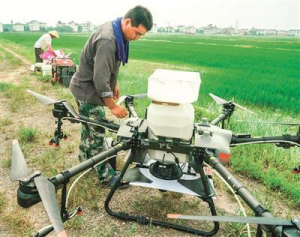 无人机管理稻田