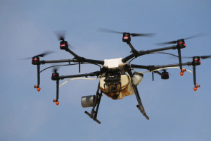 无人机出动，害虫“无所遁形”