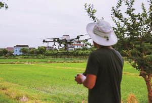 海宁市尖山新区使用无人机施肥