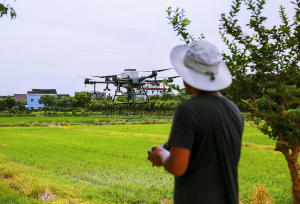 无人机 来施肥