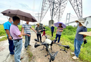 广州稻田上，升起无人机