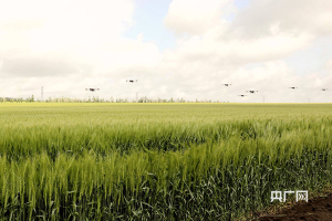 无人机作业助农增收