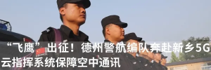 “飞鹰”出战，警航赴豫......这支无人机战队第一天晚上就工作到凌晨